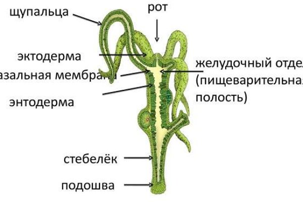 Рабочая блэкспрут