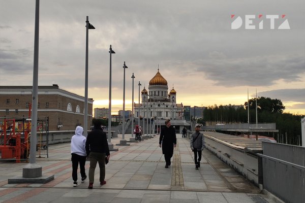 Сайт даркнет заказать